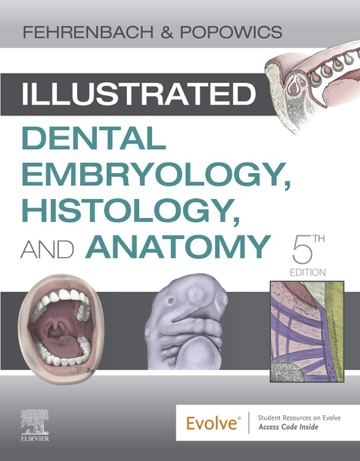 Front cover showing an illustration of an open mouth and other dentistry depictions.
