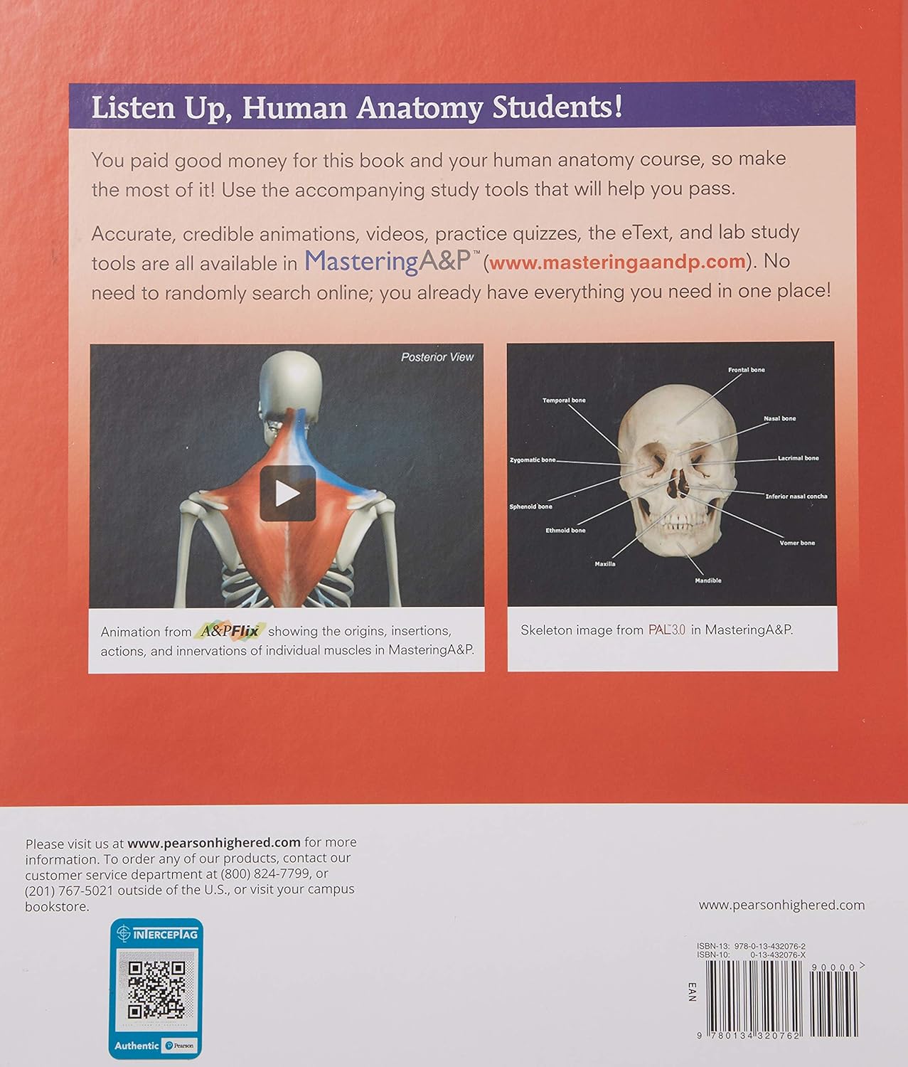 Back cover of a human anatomy textbook with text and images of a skeleton and muscles.
