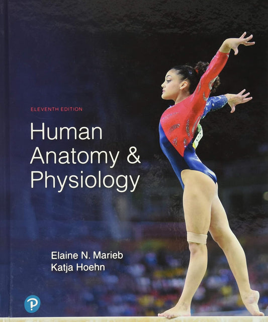 Cover of 'Human Anatomy & Physiology, 11th Edition' showing a photograph of a gymnast in mid-performance, with the title and authors' names displayed.